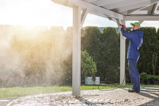 Best House Exterior Washing  in Walsenburg, CO
