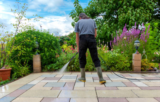 Best Gutter Cleaning  in Walsenburg, CO