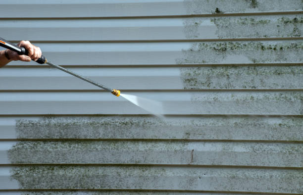 Best House Exterior Washing  in Walsenburg, CO