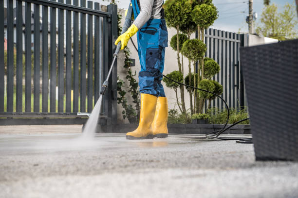 Best Pool Deck Cleaning  in Walsenburg, CO