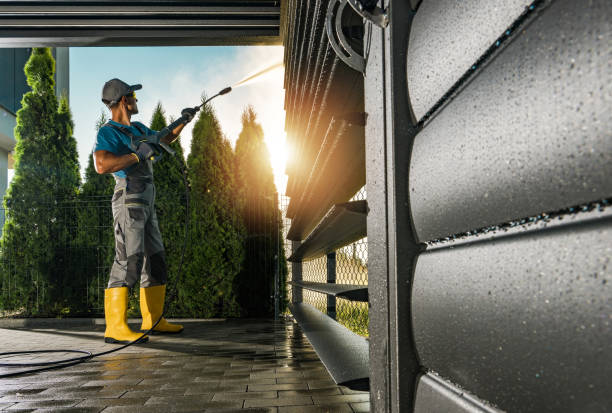 Best Sidewalk and Walkway Cleaning  in Walsenburg, CO